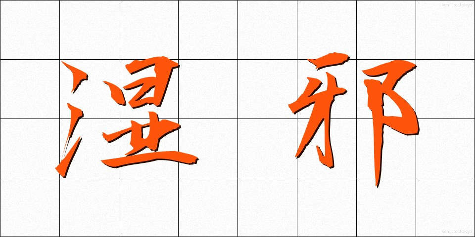 湿邪 (しつじゃ)
