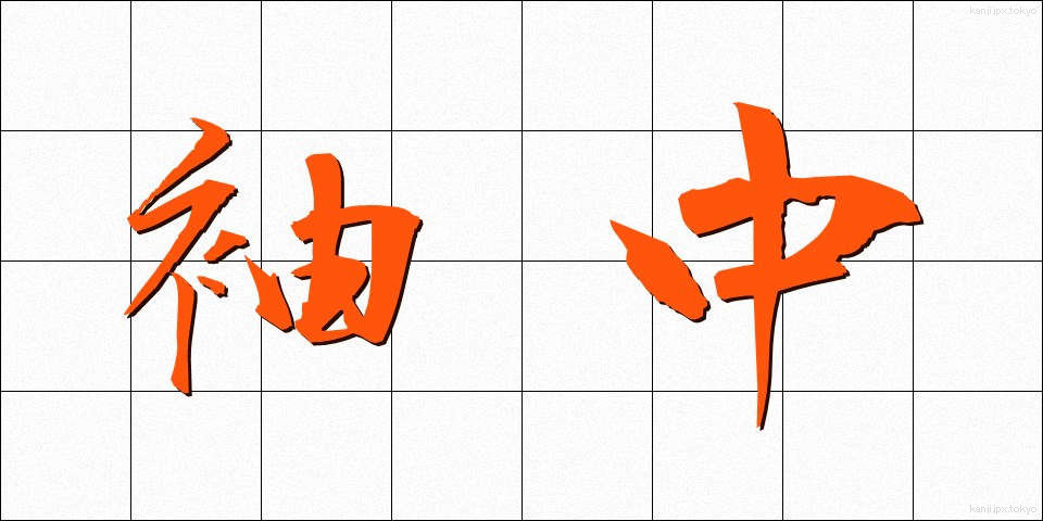 袖中 (そでなか)