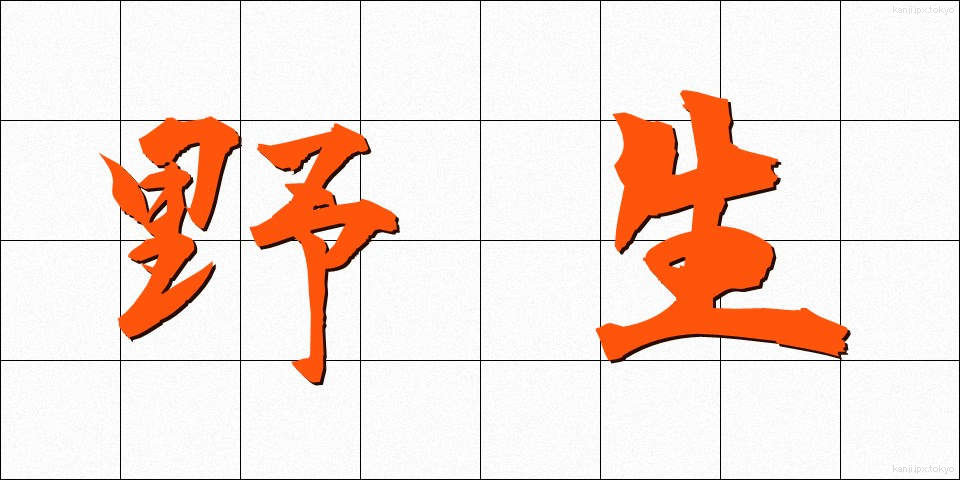 野生 (やせい)