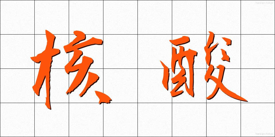 核酸 (かくさん)