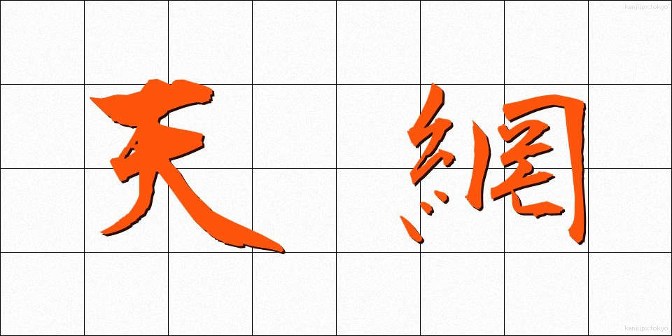 天網 (てんもう)