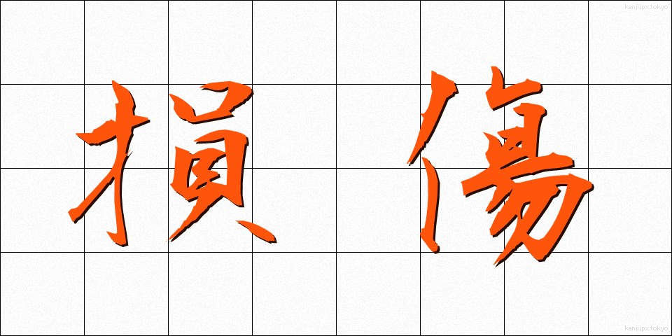 損傷 (そんしょう)