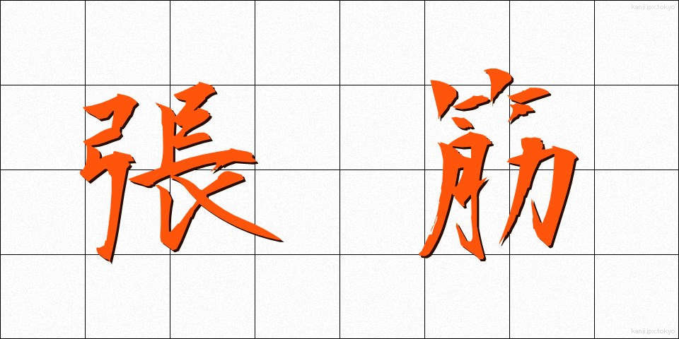 張筋 (ちょうきん)
