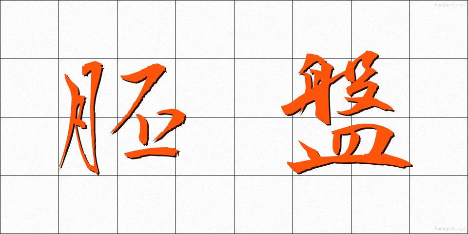 胚盤 (はいばん)