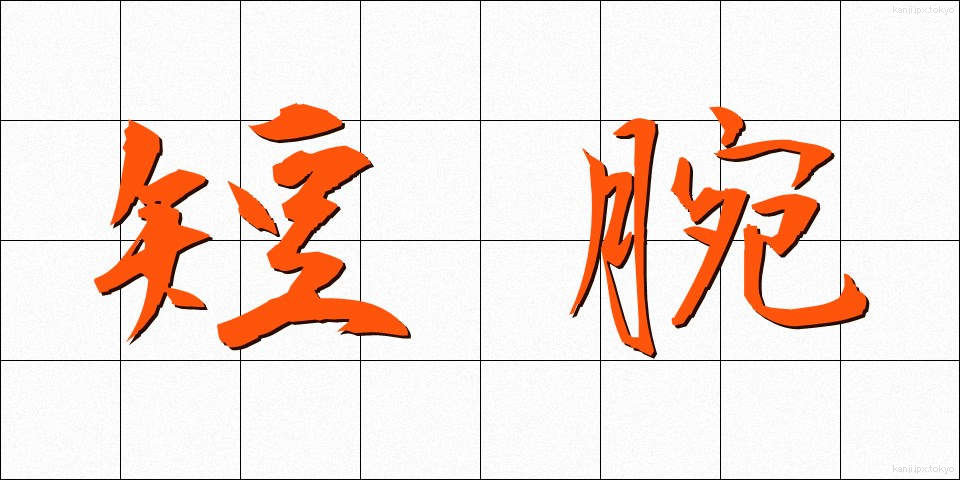短腕 (たんわん)