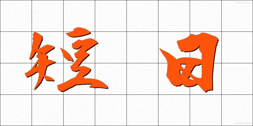 短日 (たんじつ)