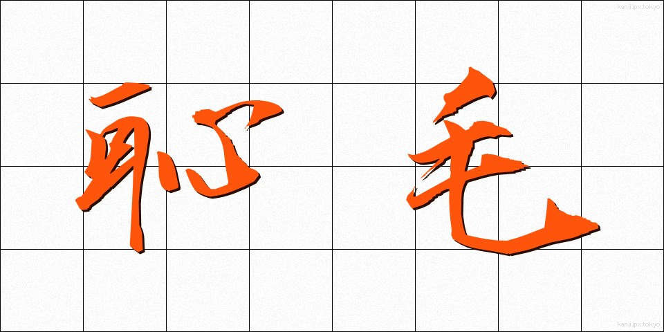 恥毛 (ちもう)