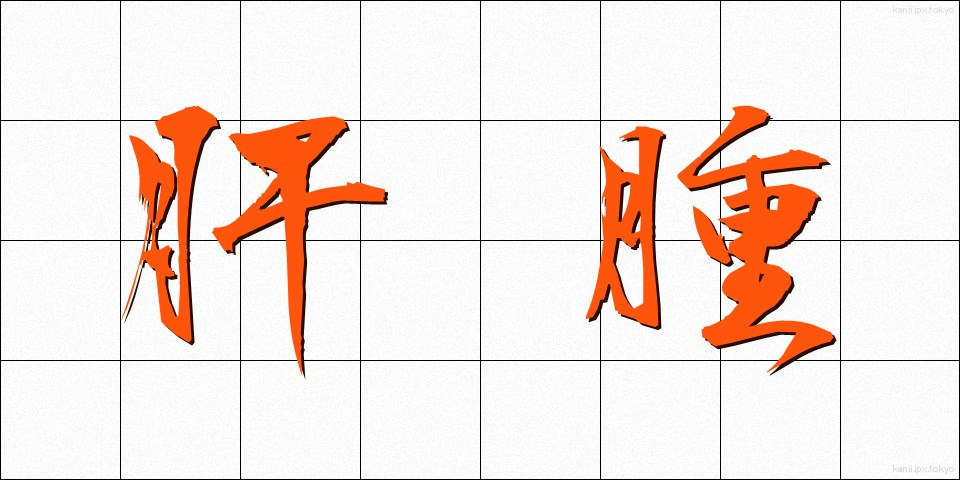 肝腫 (かんしゅ)