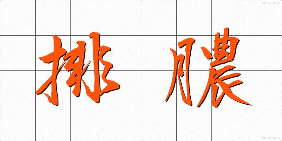 排膿 (はいのう)