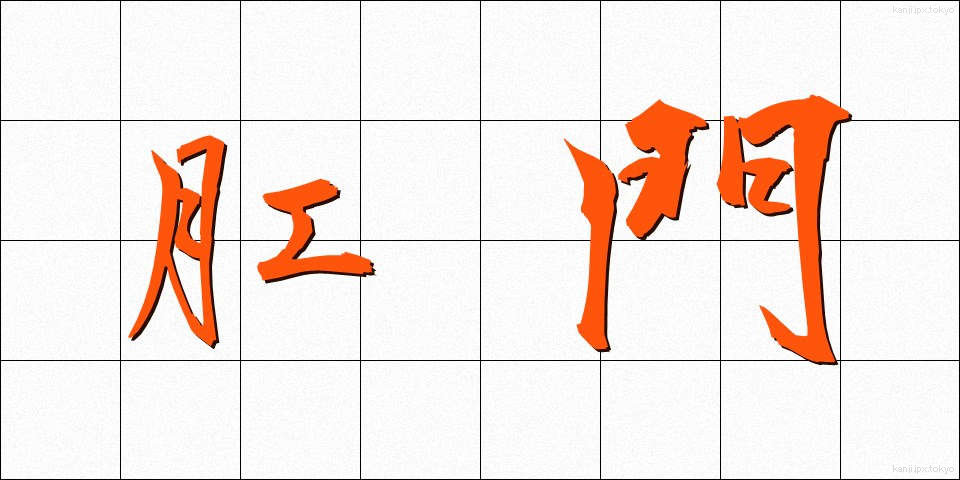 肛門 (こうもん)