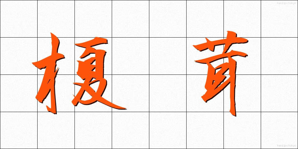 榎茸 (えのきたけ)