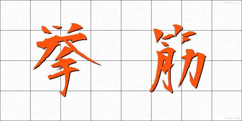 挙筋 (きょきん)