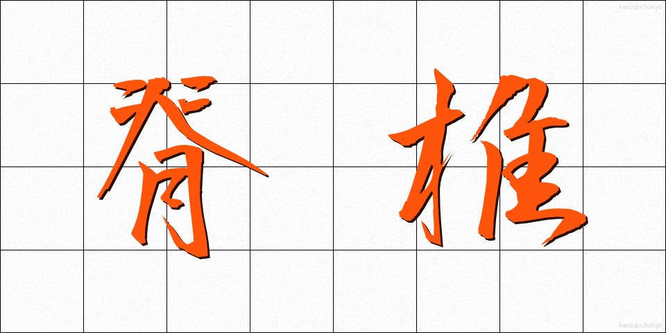 脊椎 (せきつい)