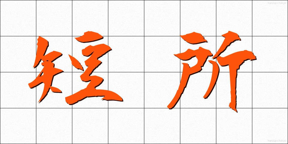 短所 (たんしょ)