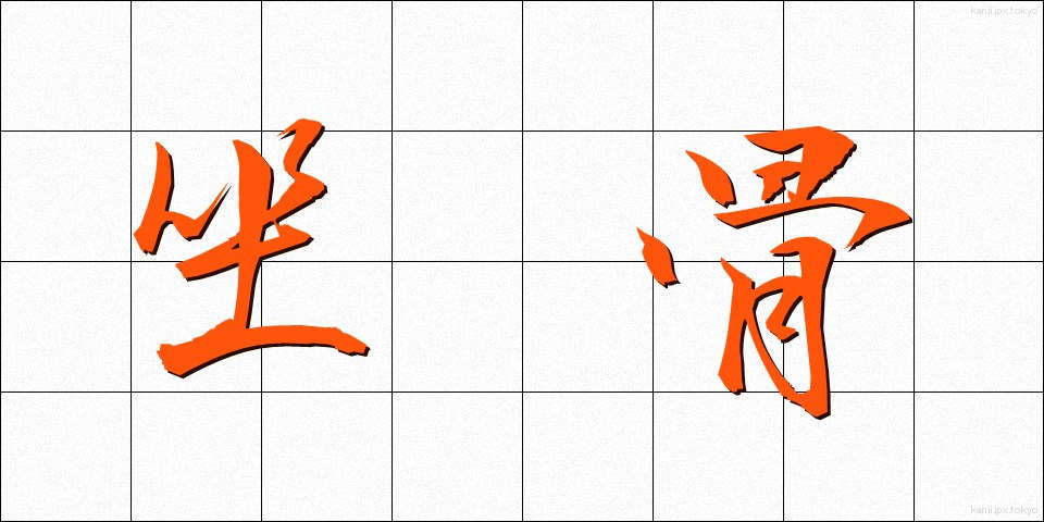 坐骨 (ざこつ)