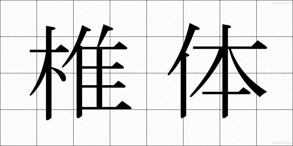 椎体 (しつたい)