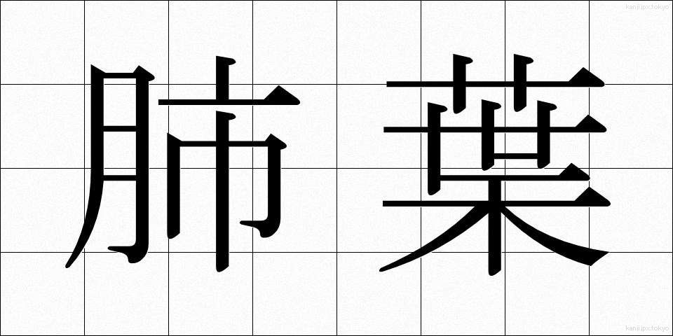 肺葉 (はいよう)