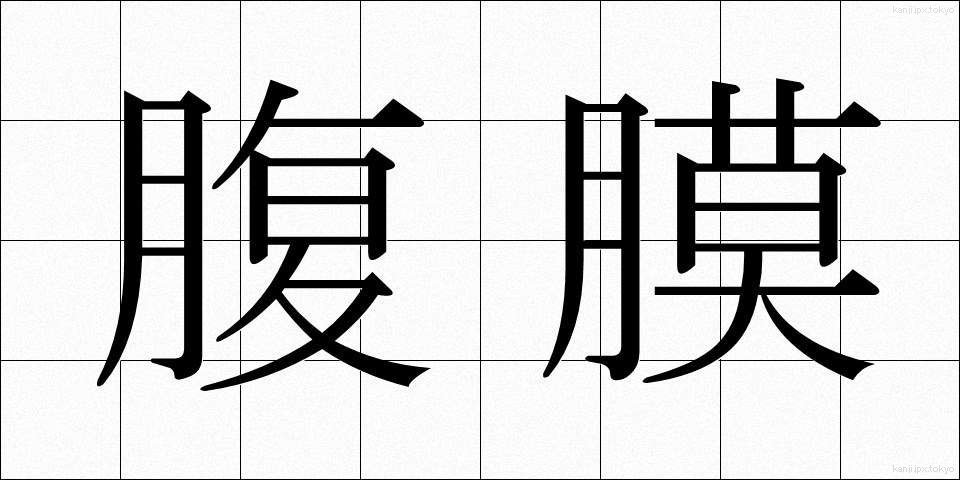 腹膜 (ふくまく)