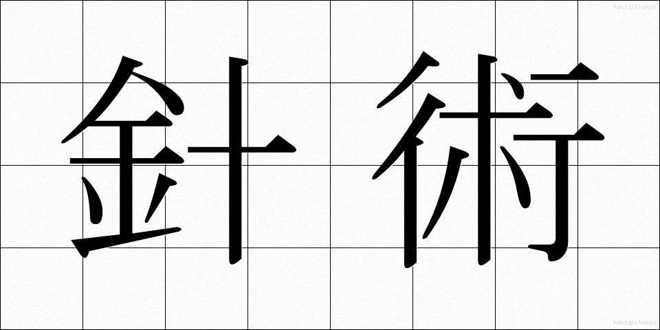 針術 (しんじゅつ)