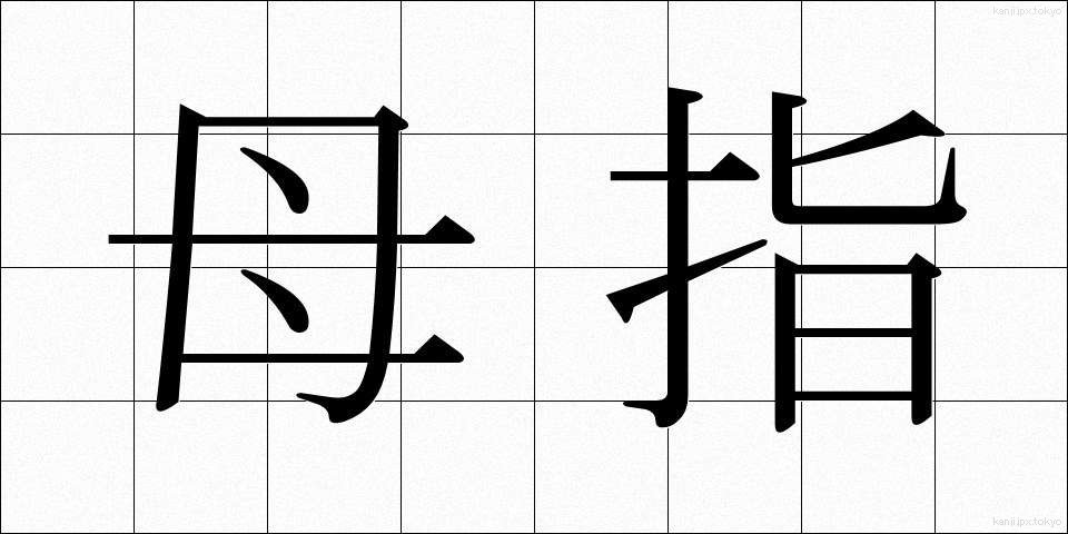 母指 (ぼし)