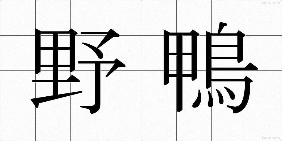 野鴨 (のがも)