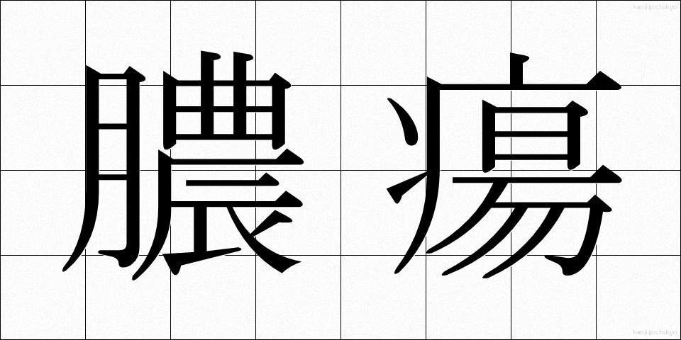 膿瘍 (のうよう)