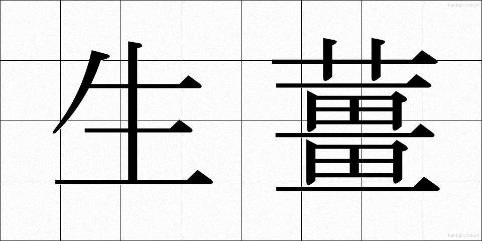 生薑 (しょうが)