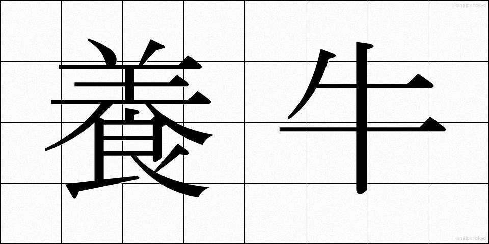 養牛 (ようぎゅう)