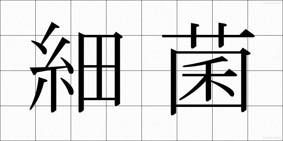 細菌 (さいきん)