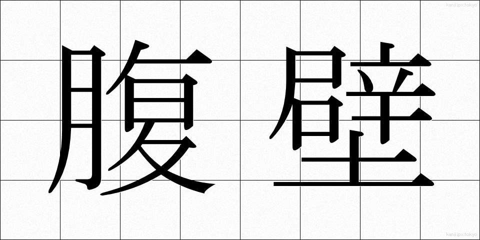 腹壁 (ふくへき)