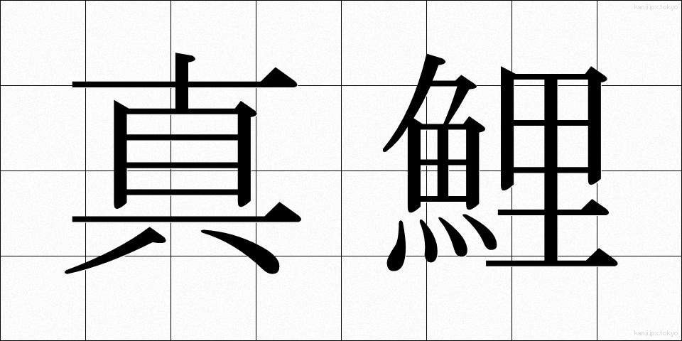 真鯉 (まごい)