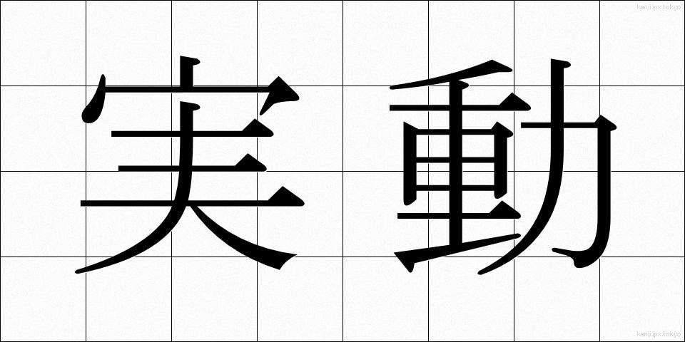 実動 (じつどう)
