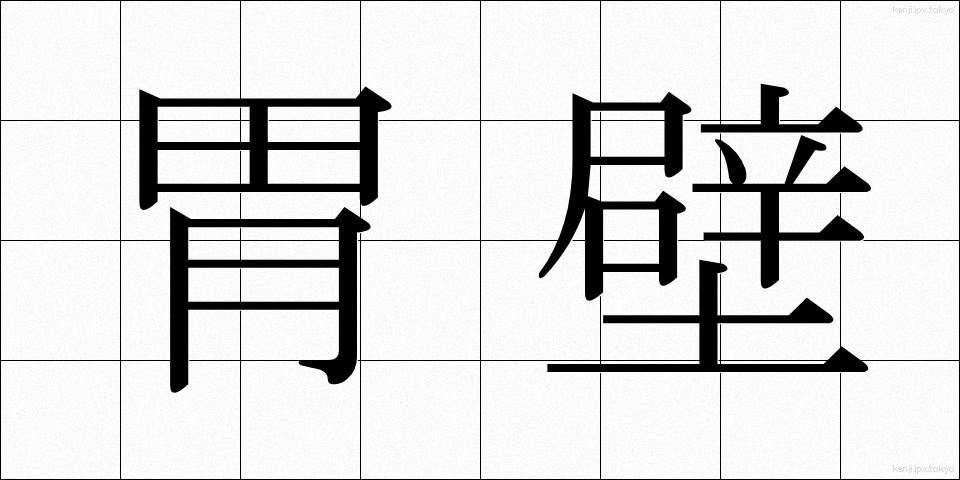 胃壁 (いへき)