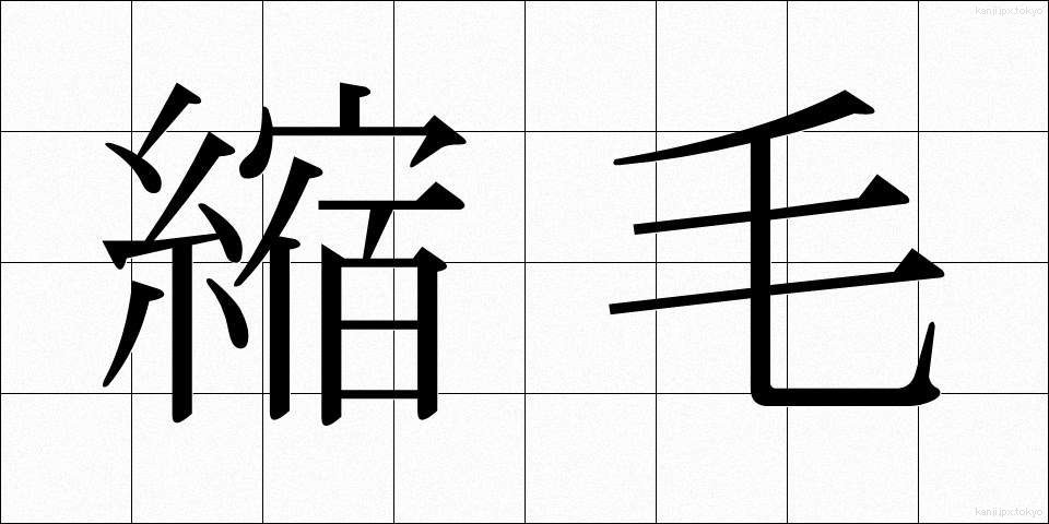 縮毛 (しゅくもう)