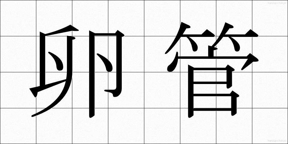 卵管 (らんかん)