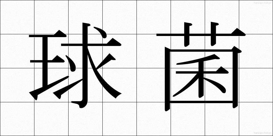 球菌 (きゅうきん)