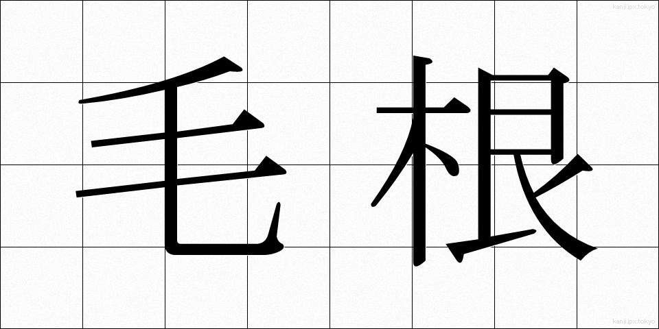 毛根 (もうこん)