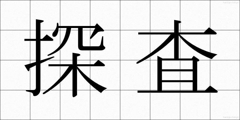 探査 (たんさ)