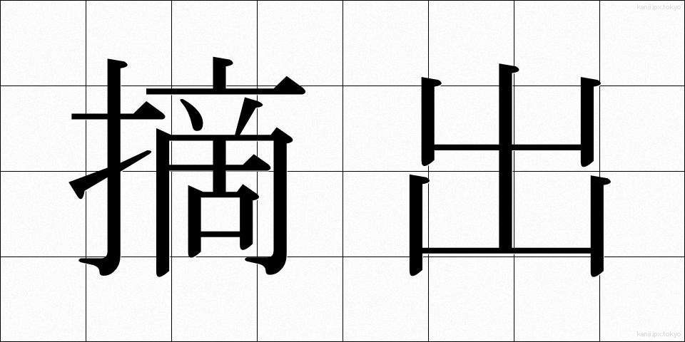 摘出 (てきしゅつ)