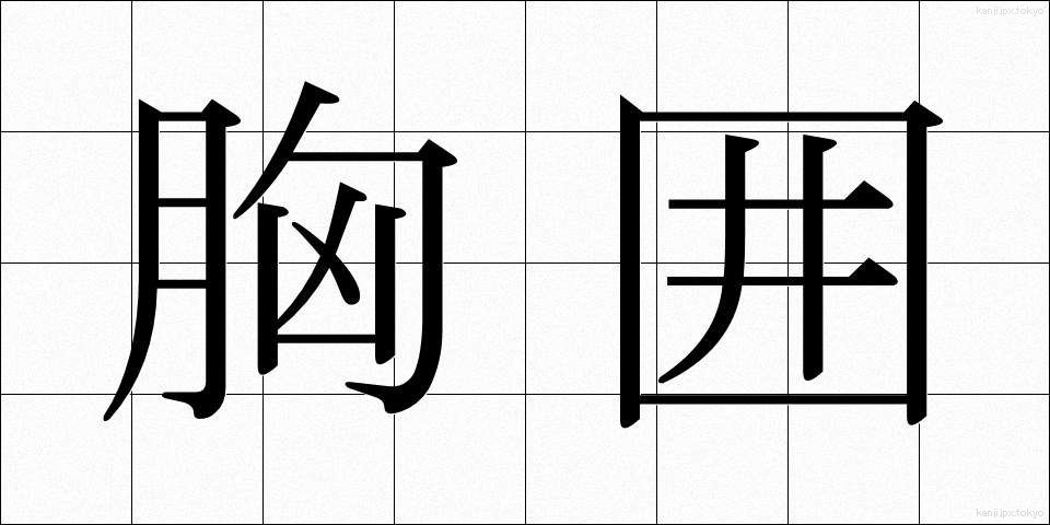 胸囲 (きょうい)