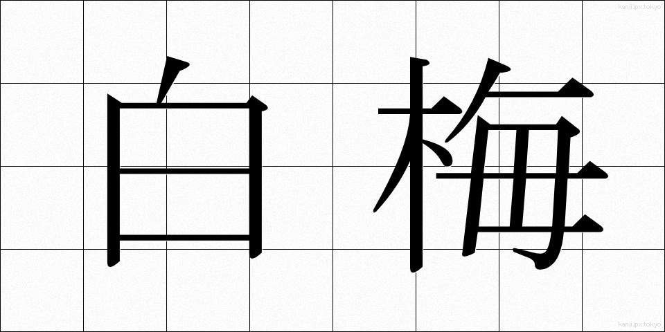 白梅 (しらうめ)