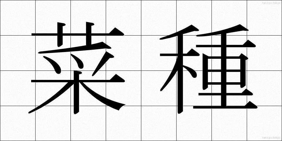 菜種 (なたね)