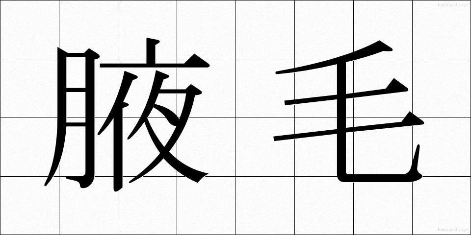 腋毛 (えきもう)
