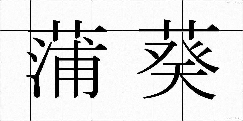 蒲葵 (ぶき)