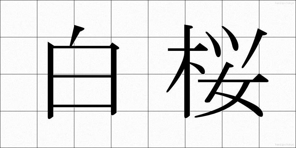 白桜 (しろざくら)