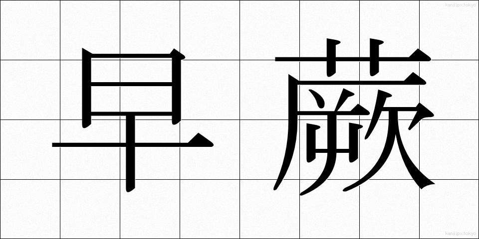 早蕨 (さわらび)