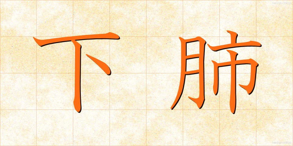 下肺 (かりゅう)
