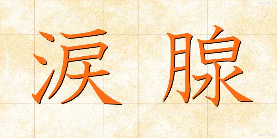 涙腺 (るいせん)