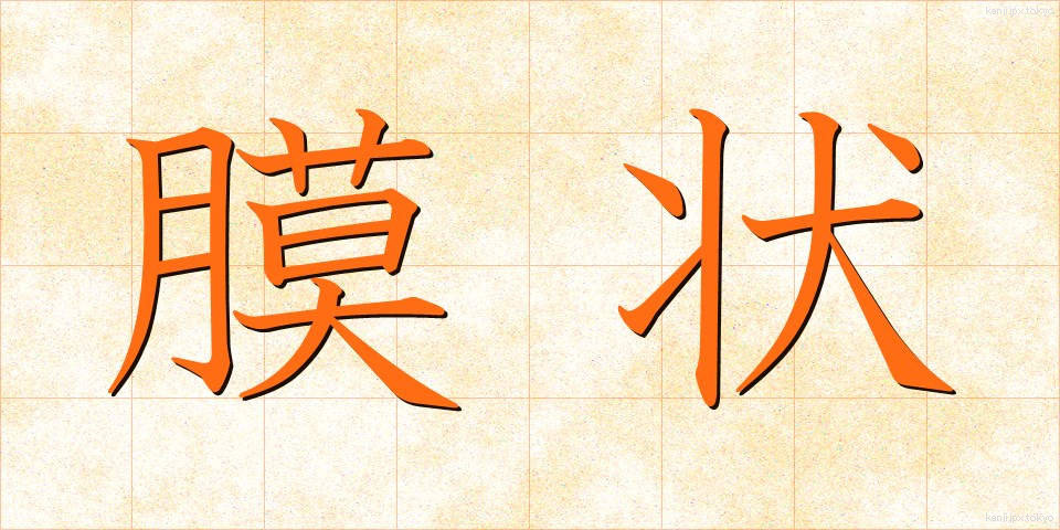 膜状 (まくじょう)