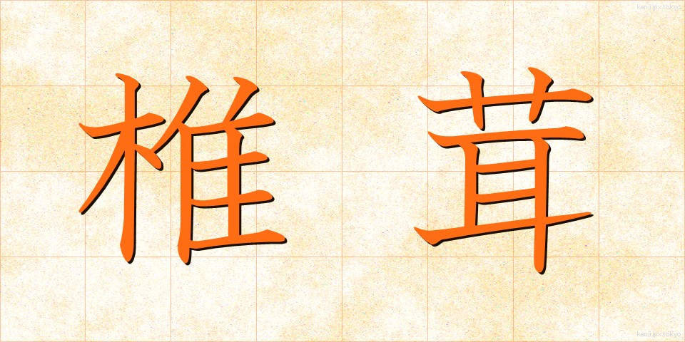 椎茸 (しいたけ)